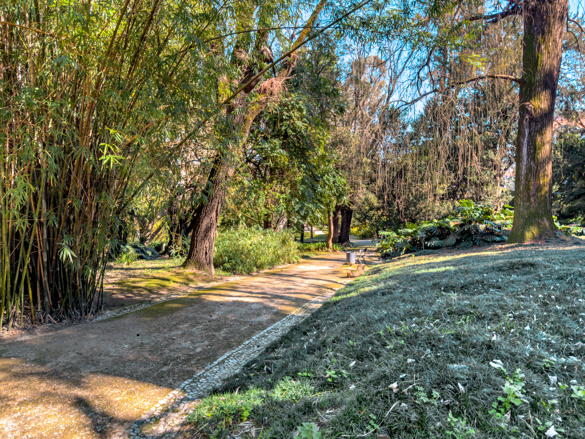 lisbon botanical garden.jpg